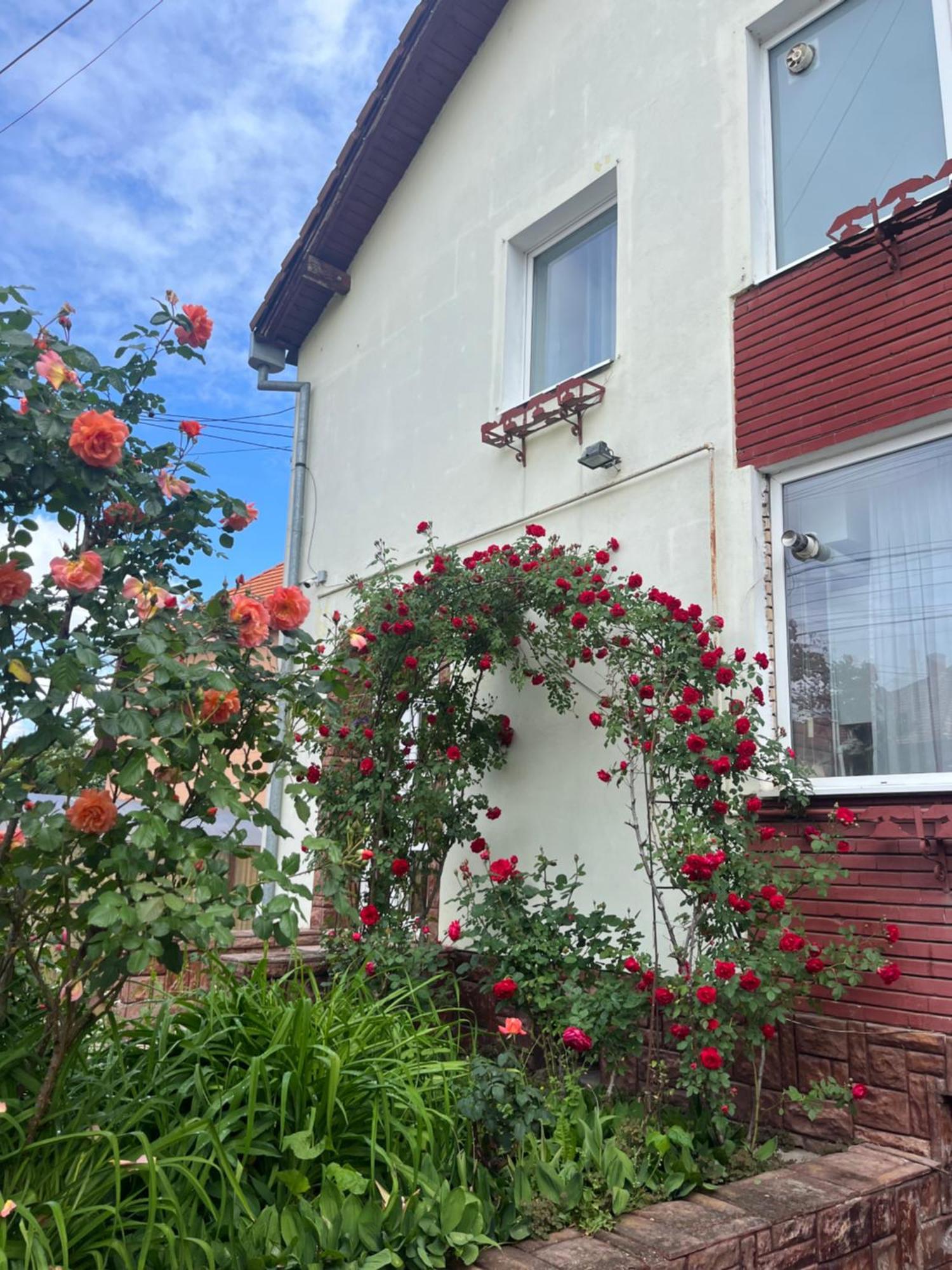ホテル Casa Conti シビウ エクステリア 写真